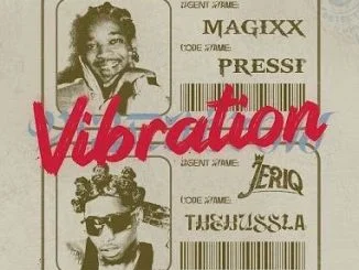 Magixx Vibration Artwork