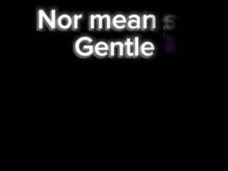 Big Smur Lee - Gentle Investor 1 images 12