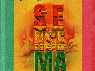 Rayvanny – Sensema Ft. Harmonize 1 Rayvanny – Sensema Ft. Harmonize