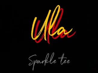 Sparkle Tee – Ula 1 Sparkle Tee – Ula
