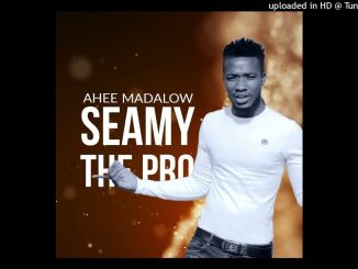 Seamy The Pro Ft King Tsonga - Nitafa Na Yena Lyrics 1 Seamy The Pro Ft King Tsonga - Nitafa Na Yena Lyrics