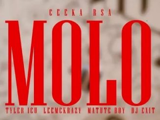 Ceeka RSA – Molo Ft. Tyler ICU, LeeMckrazy, Matute Boy & DJ Exit 1 Ft. Tyler ICU, LeeMckrazy, Matute Boy & DJ Exit
