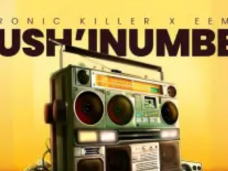 Chronic Killer & Eemoh – Kush’Inumber ft. Amu Classic, Kappie, Djy Vino & Reeh Musiq 1 Chronic Killer & Eemoh – Kush’Inumber ft. Amu Classic, Kappie, Djy Vino & Reeh Musiq