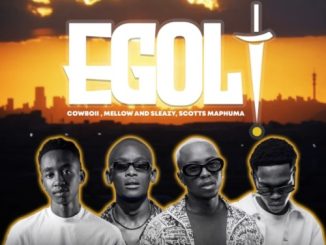 CowBoii, Mellow, Sleazy & Scotts Maphuma – Wazi Bani EGoli Ft. Eltee & Novatron 1 CowBoii, Mellow, Sleazy & Scotts Maphuma – Wazi Bani EGoli Ft. Eltee & Novatron