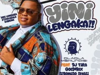 Dladla Mshunqisi – Yini Lengaka Ft. DJ Tira, GoldMax & Siboniso Shozi 1 Dladla Mshunqisi – Yini Lengaka Ft. DJ Tira, GoldMax & Siboniso Shozi