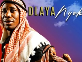 Dlaya Nyoka – Gaza Ayi Tleli (feat. Benny Mayengani) · 1 Dlaya Nyoka – Kabus (Version 2)