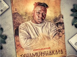 Fortunator – Tshamutshakata Album 1 Fortunator – Slala Ft. Tuksin SA