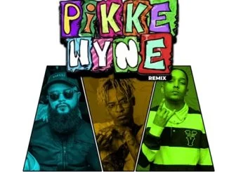 Mega x Chakie – Pikkewyne Remix Ft. Meneer Cee, Jay Music & Naiidy 1 Ft. Meneer Cee, Jay Music & Naiidy