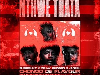 Shebeshxt, Chongo De Flavour, Mckay Johnson, Janesh, Buddy Sax & Dropsphonik – Ke Nthwe Thata 1 Shebeshxt, Chongo De Flavour, Mckay Johnson, Janesh, Buddy Sax & Dropsphonik – Ke Nthwe Thata