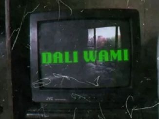 Teemza – Dali Wami Ft. Mpho Spizzy 1 Teemza – Dali Wami Ft. Mpho Spizzy