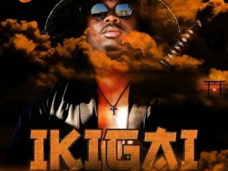 Tman Xpress & Kabza De Small – Indlela 1 Tman Xpress, Sayfar, Cyfred – Lengoma