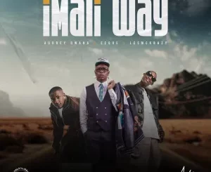 Aubrey Qwana, EeQue, LeeMcKrazy – Imali Way ft. Mawelele, Makhosi 1 Aubrey Qwana, EeQue, LeeMcKrazy – Imali Way ft. Mawelele, Makhosi