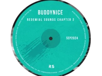 Buddynice – Strange Encounters (Redemial Mix) 1 Buddynice – Endless Echoes (Redemial Sounds)