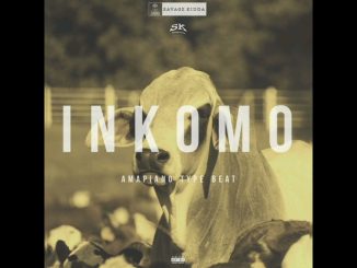 Inkomo [Inspired by Kabza De Small × Mawhoo & Nkosazana Daughter | Amapiano Type Beat 2024 1 Inkomo [Inspired by KBeat 2024