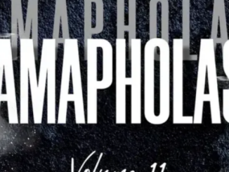 KWiiSH SA – Amapholas Vol. 11 Mix 1 KWiiSH SA – Amapholas Vol. 11 Mix