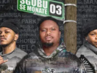 KayGee The Vibe & N&F LECTURERS – Sgubu Se Monate 3 EP 1 KayGee The Vibe & N&F LECTURERS – Sgubu Se Monate 3 EP