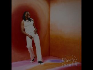 Pheelz – FEVER ft Niniola 1 Pheelz – FEVER ft Niniola