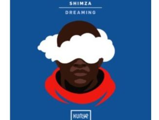 Shimza – Dreaming EP 1 Shimza, Kabza De Small & DJ VITOTO – 2 Step