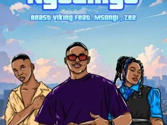 Beast Viking – Ngelinye ft Msongi 1 Beast Viking – Ngelinye ft Msongi