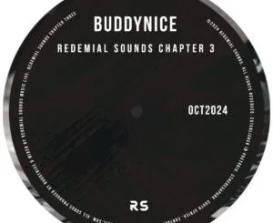Buddynice – I Can Give You (Unconditional Love) 1 Buddynice – I Hear Voices In My Dreams