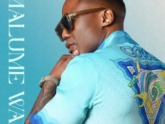 Dj Tira, Wanitwa Mos, Qwabe Twins - Ngiyeza [feat Nkosazana Daughter x Murumba Pitch]