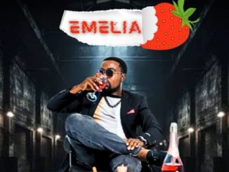 Mazinywensimbi – Emelia 1 Mazinywensimbi – Emelia