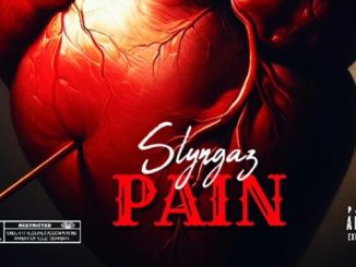 Slyngaz - Pain 1 Slyngaz - Pain