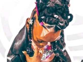 Smokey Mirror – Barbie (Remix) FT Mulest Vankay, Dess Da Deejay, Flow Finesse 1 Smokey Mirror – Barbie (Remix) FT Mulest Vankay, Dess Da Deejay, Flow Finesse