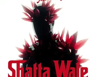 Shatta Wale – Who Am I 1 Shatta Wale Who Am I artwork