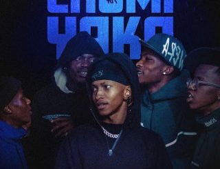 TKcreedlion – Chomi Yaka ft. Smoove, Royal Musiq, W4DE, Djy Biza & Shoes Meister 1 TKcreedlion Chomi Yaka artwork